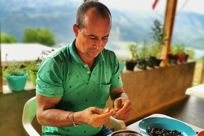 Chocolate Farm Private Tour in Medellin: Real Genuine Experience - Tour Guide and Local Interaction