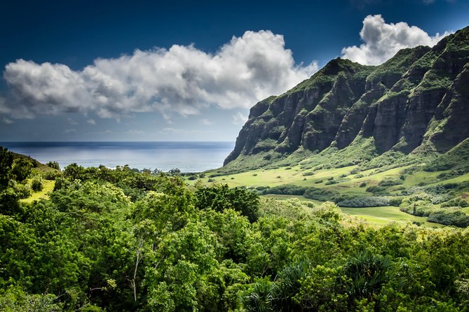 Circle Island Tour With Waimea Waterfall - Guest Feedback and Experiences