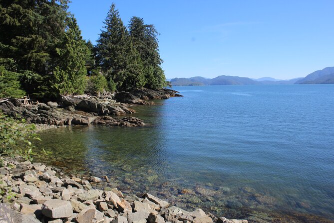 Clan House Tours: Native Cultural and Scenic Shore Excursion - Tour Guide Performance