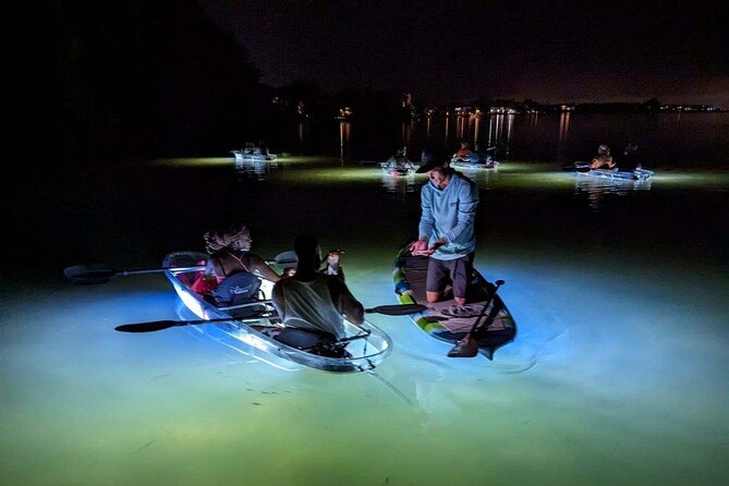 Clear Kayak LED Night Glass Bottom Tour - Sarasota - Guide Performance and Interaction