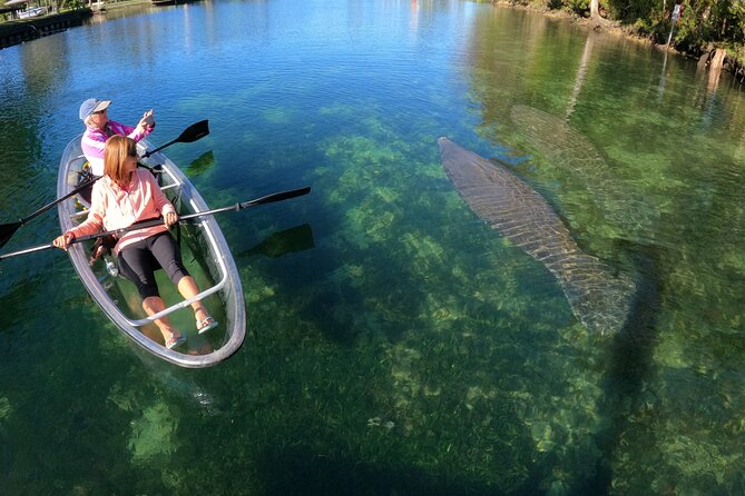 Clear Kayak Manatee Ecotour of Crystal River - Kayaking Equipment and Accessories