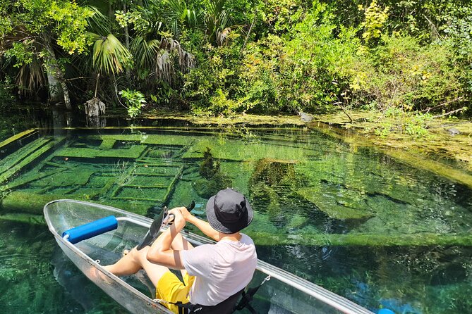 Clear Kayak or Paddleboard Manatee Adventure - Physical Requirements and Pet Policy