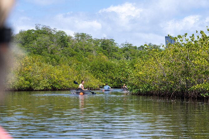 Clear Kayak Tour in North Miami Beach - Mangrove Tunnels - Traveler Feedback and Ratings