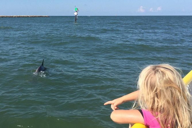 Clearwater Encounters With Dolphins Tour - Whats Included in the Tour