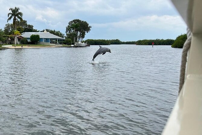 Cocoa Beach Dolphin Tours on the Banana River - Abundant Wildlife Sightings