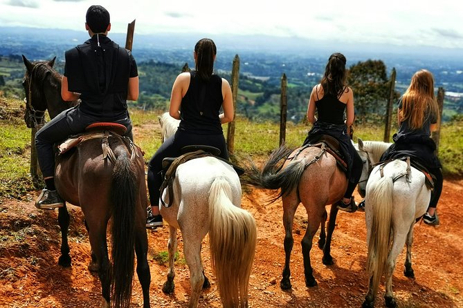 Coffee & Horses Private Tour in Medellin: A Fun & Authentic Day - Overwhelmingly Positive Guest Experiences