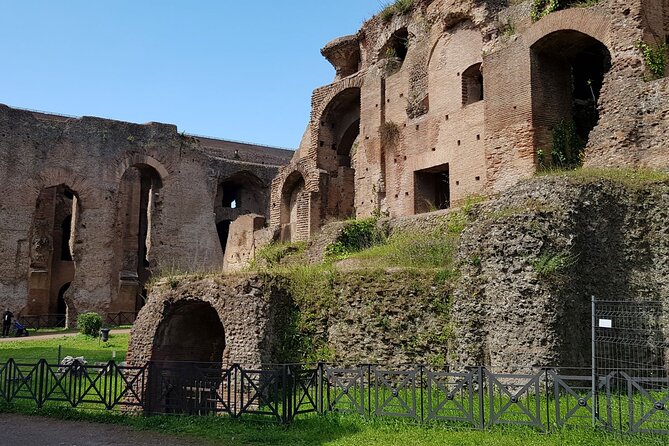 Colosseum Arena Floor Roman Forum and Palatine Hill Small Group - Insights From the Knowledgeable Tour Guide