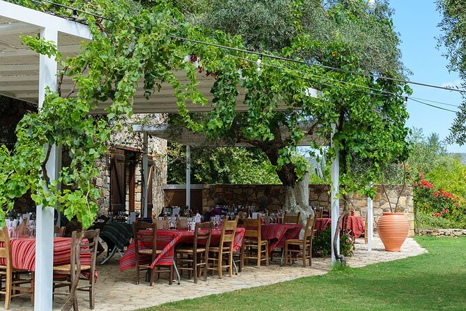 Crete Wine and Olive Oil Tour - Traveler Reviews and Feedback