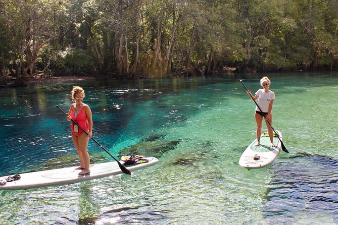 Cypress Springs Eco Adventure - Lunch Options and Preferences