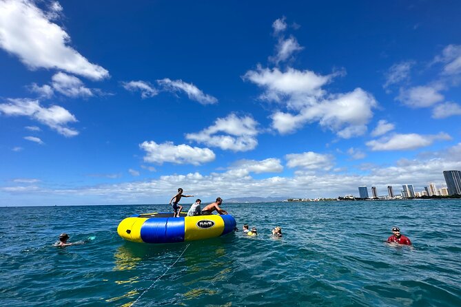 Deluxe Snorkel and Wildlife Cruise in Waikiki - Aquatic Adventures and Activities