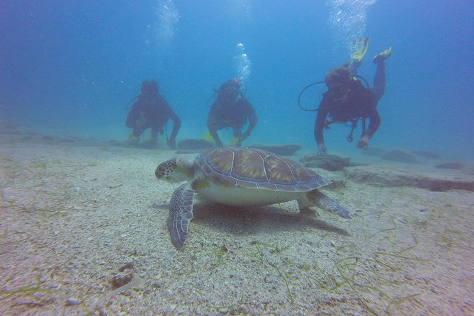 Discover Scuba Diving - Negative Customer Reviews