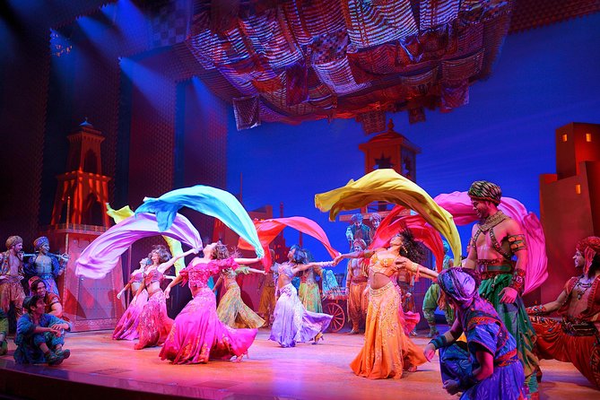 Disneys Aladdin on Broadway Ticket - Accessibility and Age Recommendations