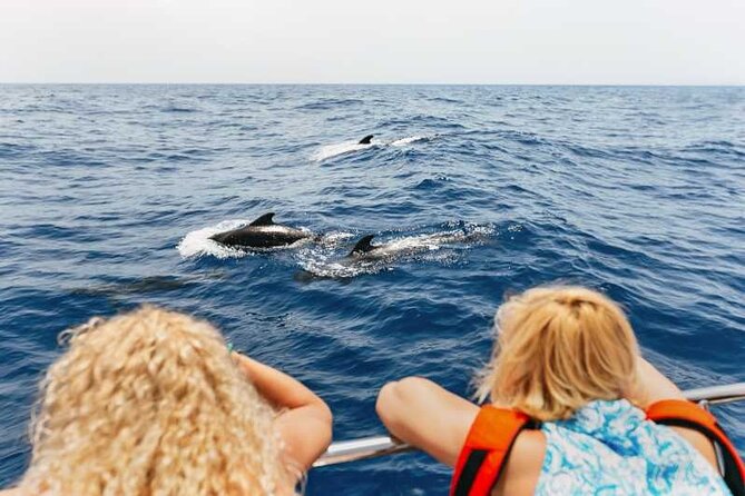 Dolphin Watching Tour With Snorkeling From Olbia - Traveler Experiences and Reviews