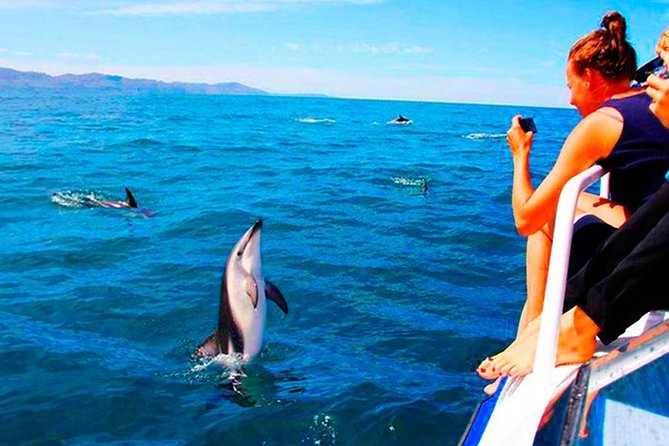 Dolphins Watching in the National Park Brijuni From Pula - Customer Service and Feedback
