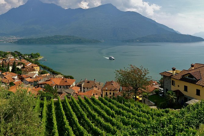 Domaso: Wine Tasting at the Winery on Como Lake - Reviews and Highlights
