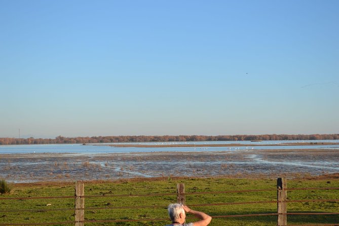 Donana National Park and El Rocío: Guided Tour From Seville - Guided Walking Tour Experience