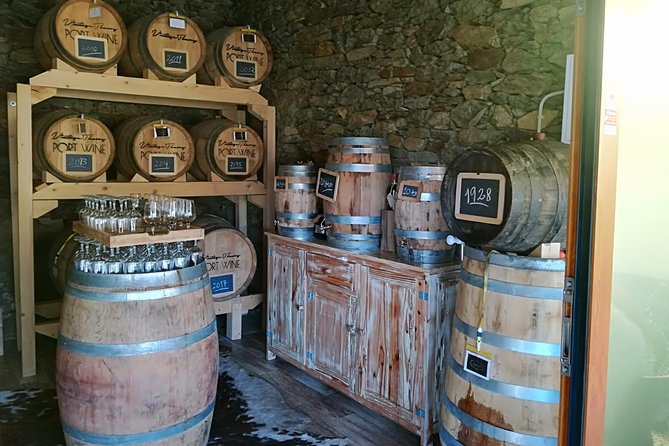 Douro Valley and Amarante Small Group Wine Tour From Porto - Guest Experiences and Reviews