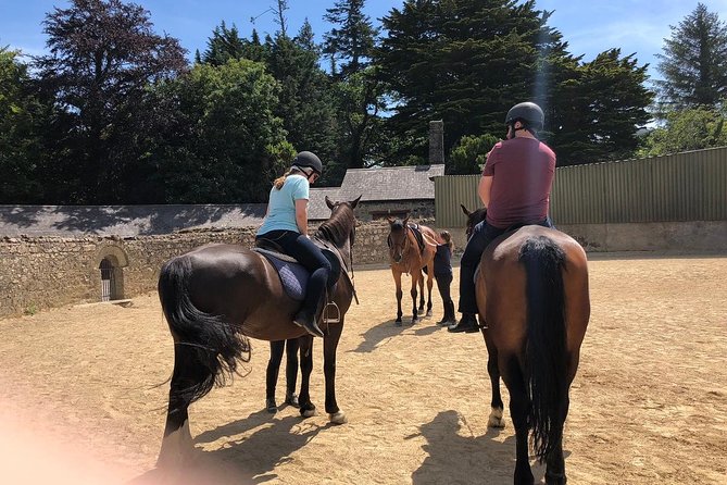 Dublin to Wicklow, Glendalough Small Group Tour With Horse Riding - Scenic Stops Along the Way