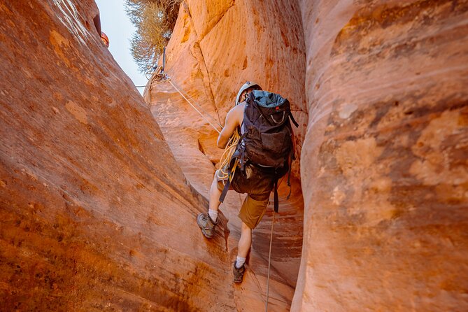 East Zion: Coral Sands Half-day Canyoneering Tour - Customer Feedback and Reviews
