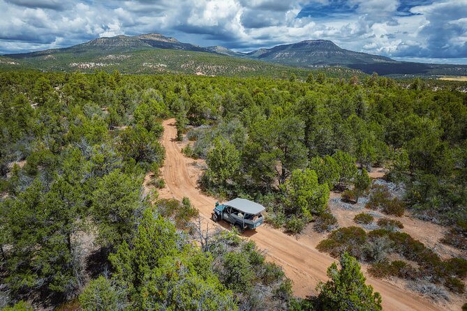 East Zion East Rim Jeep Tour - Meeting and Logistics