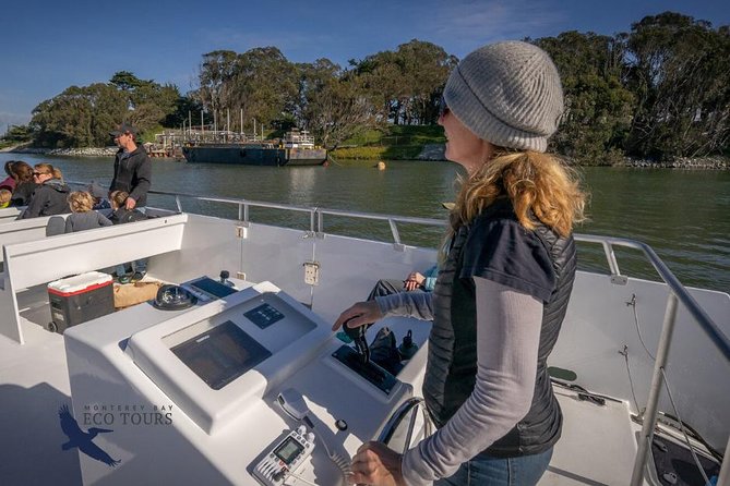 Elkhorn Slough Wildlife Tour - Booking and Reservation