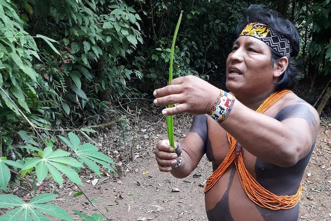 Embera Village Day Tour - Guide Expertise