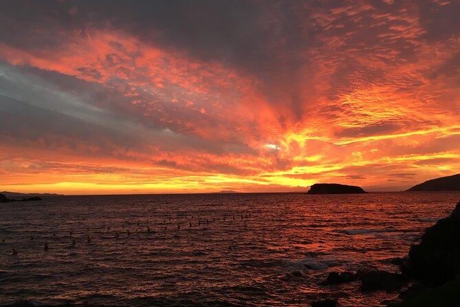 Enjoy Cape Sounio Private Majestic Sunset With Seaside Dinner - Savor an Authentic Greek Dinner at a Seaside Taverna
