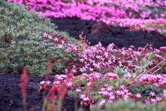 Etna Tour in 4x4 - Accessibility and Requirements