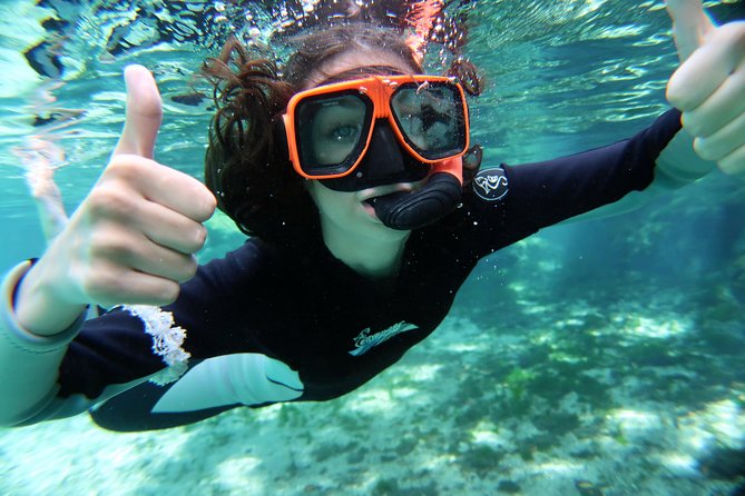 Exclusive Small Group VIP Heated Manatee Snorkel Tour - Customer Reviews and Recommendations