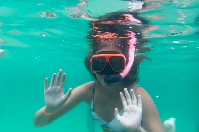 Family Friendly Snorkeling and Dolphin Tour - Meeting and Pickup