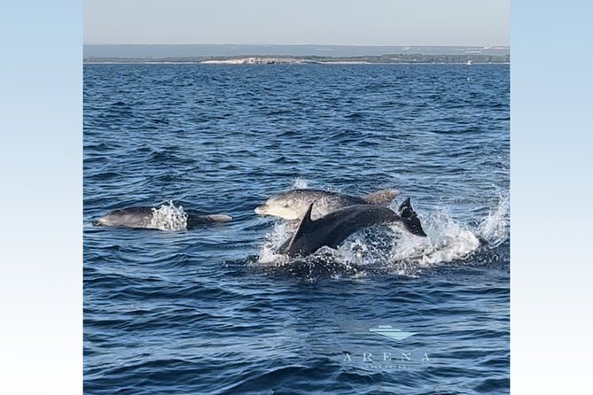 Fantastic DOLPHIN & SUNSET TOUR With Dinner (Pula - NP BRIJUNI) - Picturesque Sunset Views