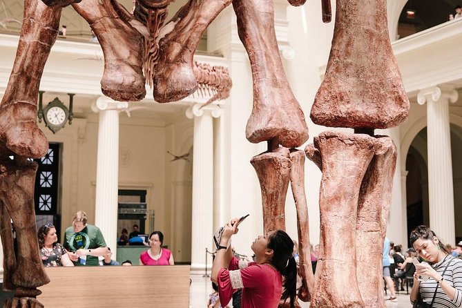 Field Museum of Natural History Admission Tickets - Visitor Feedback and Recommendations