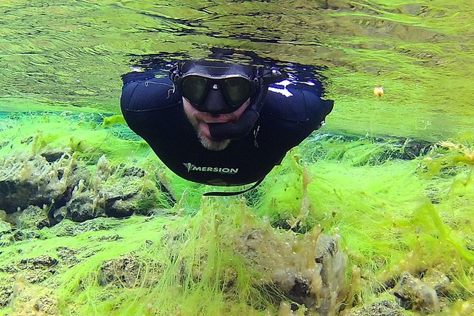 Freedive Silfra Half Day Tour - Meeting Point and Additional Information
