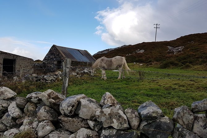 From Galway: Guided Tour of Connemara With 3 Hour Stop at Connemara National Pk. - Guest Feedback