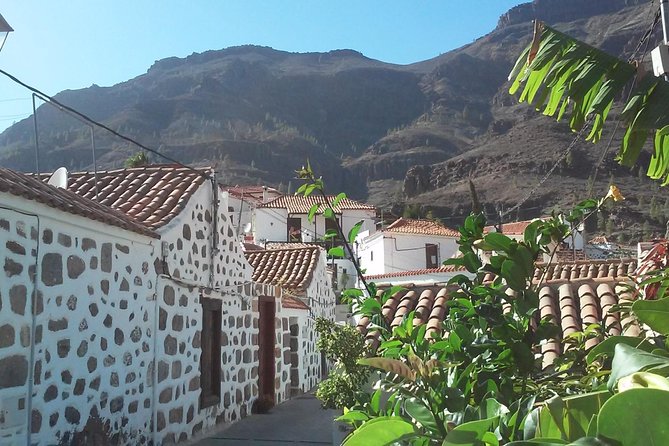 Full Day Across the Island Tour From Las Palmas - Recommendations and Tips