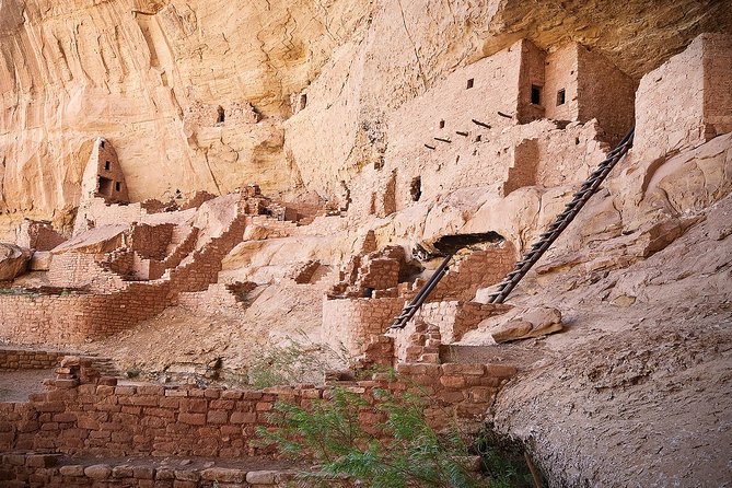 Full-Day Mesa Verde Discovery Tour - Traveler Reviews and Experiences