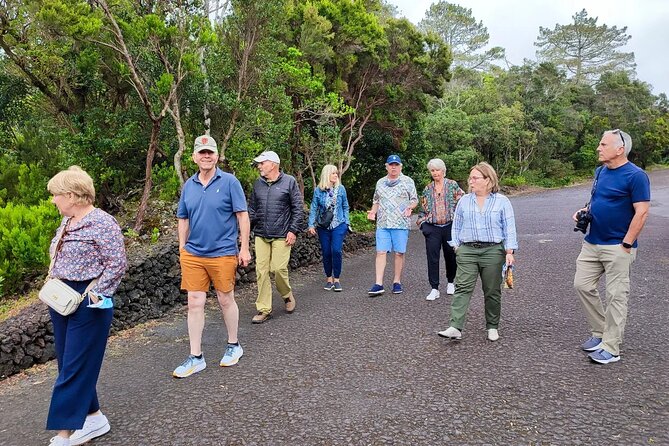 Full Day Tour With Lunch Included - Faial Island - Traveler Reviews and Feedback