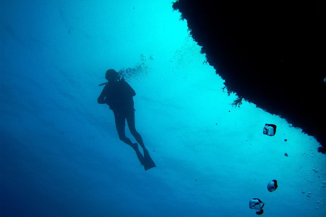 (Full Day)Scuba Diving in Rhodes - Participant Reviews and Feedback