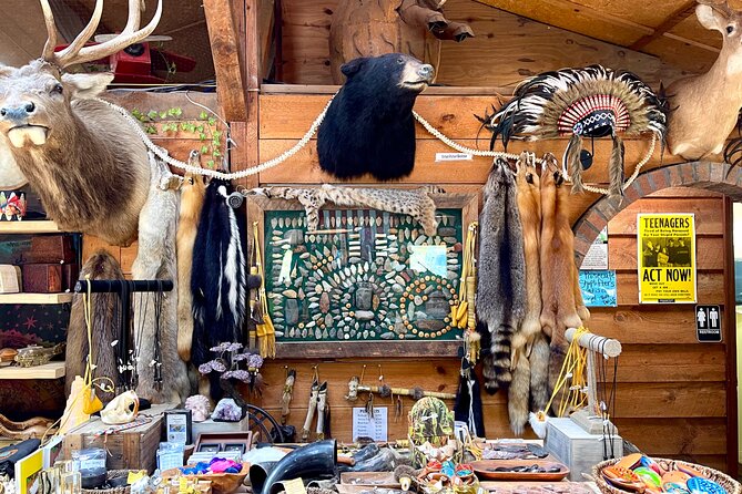 Gem Mining and Goat Farm Walking Tour in Hendersonville - Goat Farm Exploration