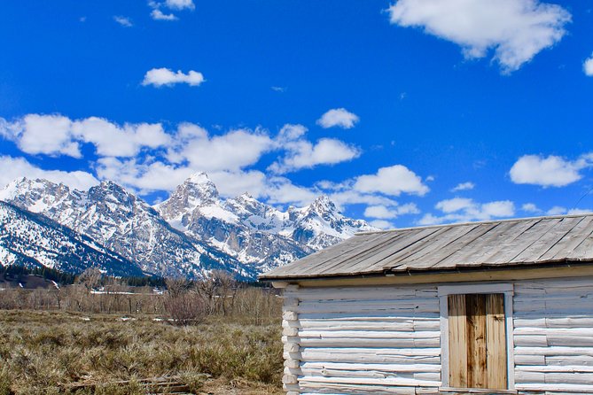 Grand Teton Half Day Tour - Tour Experience