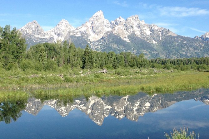 Grand Teton National Park - Full-Day Guided Tour From Jackson Hole - Wildlife and Scenic Experiences