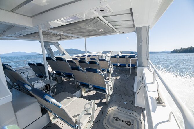 Guaranteed Dolphin and Whale Watch Tour in Kona - Customer Reviews