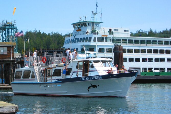 Guaranteed Whale Watching Tour - Transportation and Logistics
