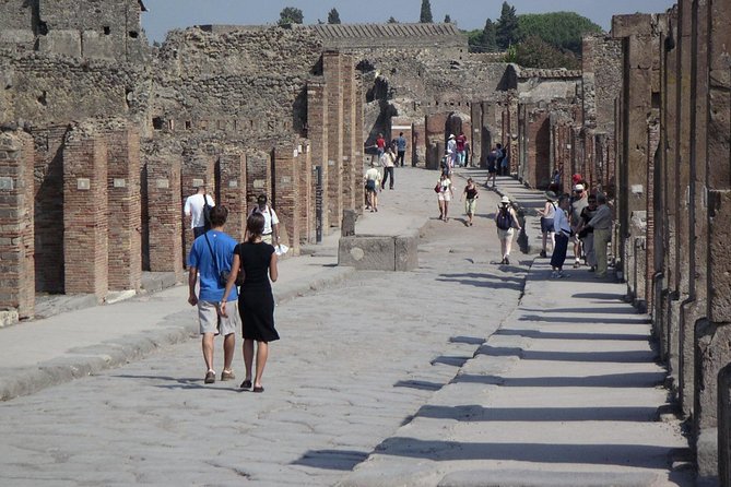 Guided Day Tour of Pompeii and Herculaneum With Light Lunch - Additional Information