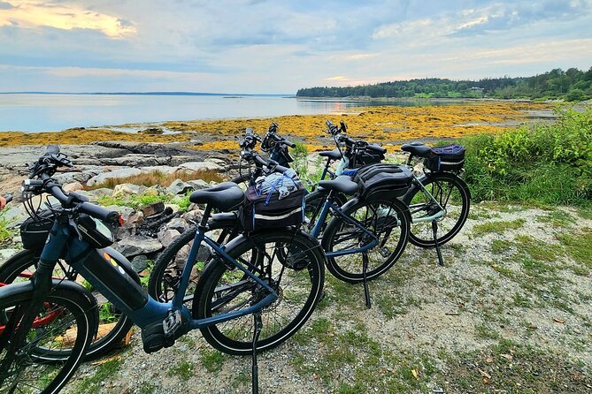 Guided Ebike Tour of Acadia National Park Carriage Roads - Guides and Customer Feedback