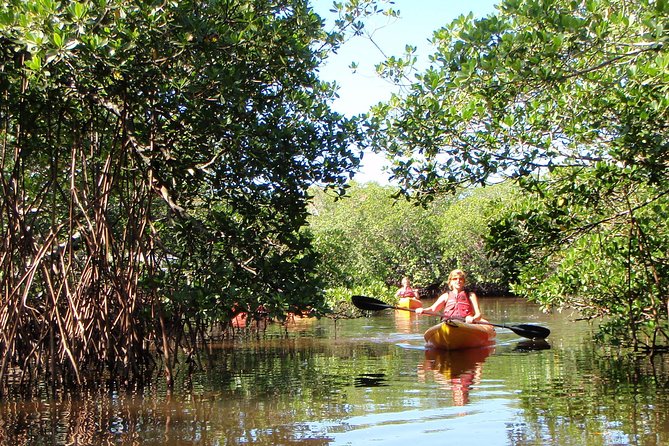 Guided Kayak Eco Tour - Bunche Beach - Customer Reviews and Experiences