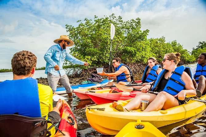 Guided Kayak Mangrove Ecotour in Rookery Bay Reserve, Naples - Customer Experiences