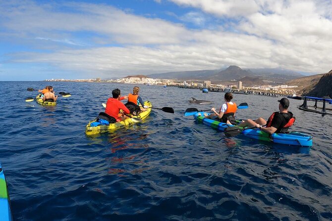 Guided Kayak Tour From Los Cristianos Beach Tenerife - Accessibility and Safety Considerations