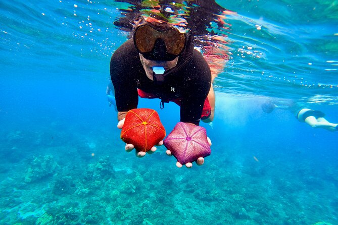 Guided Snorkeling Tour for Non-Swimmers Wailea Beach - Vibrant Marine Life