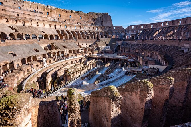 Guided Walking Tour of the Colosseum, Forum, Palatine Hill - Customer Feedback